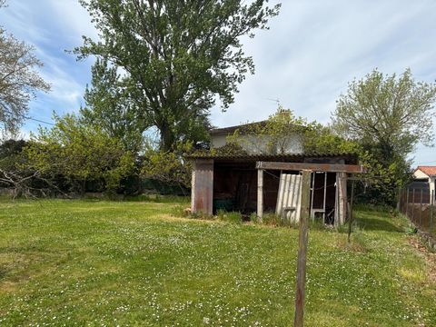photo no. 6