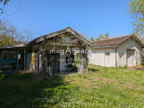 photo no. 13