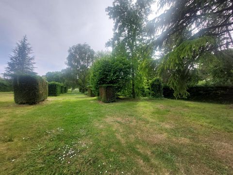 photo no. 10