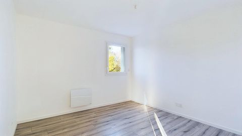 photo no. 11