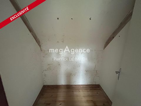 photo no. 14