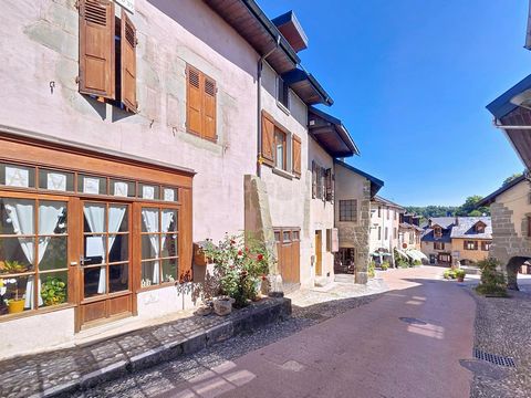 Maison avec OPPORTUNITÉ PROFESSIONNELLE OU ARTISTIQUE !
