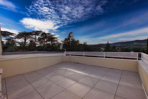 photo no. 11