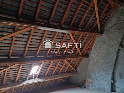 photo no. 16