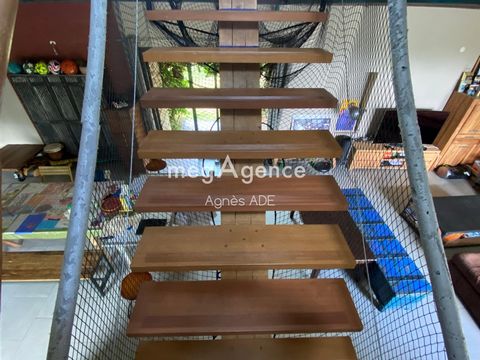 photo no. 11
