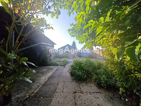 photo no. 11