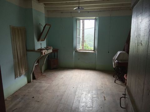 photo no. 4