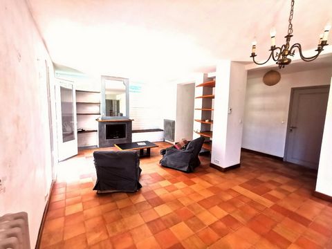 photo no. 12