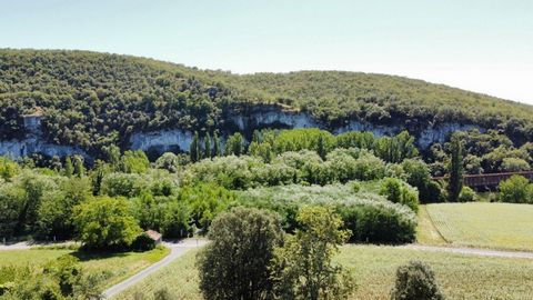photo no. 13