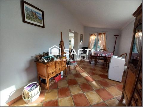 photo no. 9