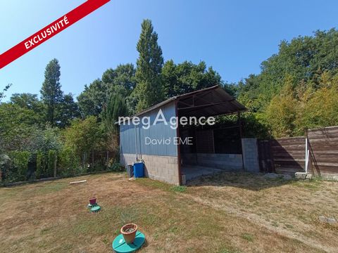 photo no. 13
