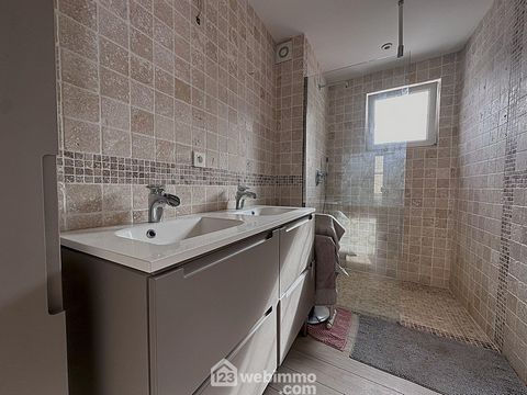 photo no. 11
