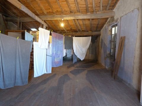 photo no. 13
