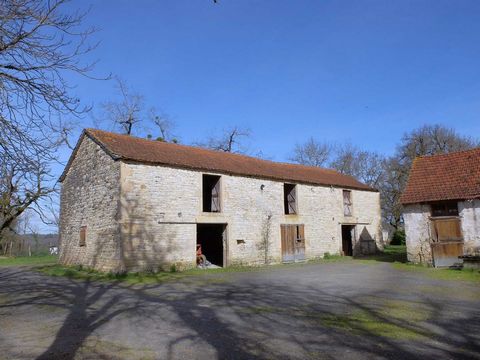 photo no. 5