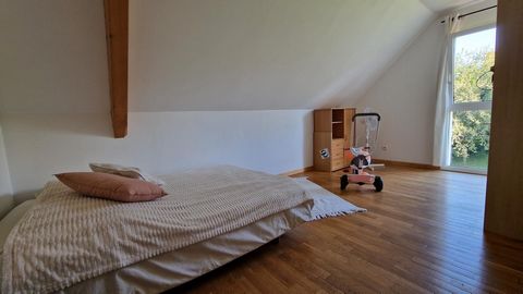 photo no. 10