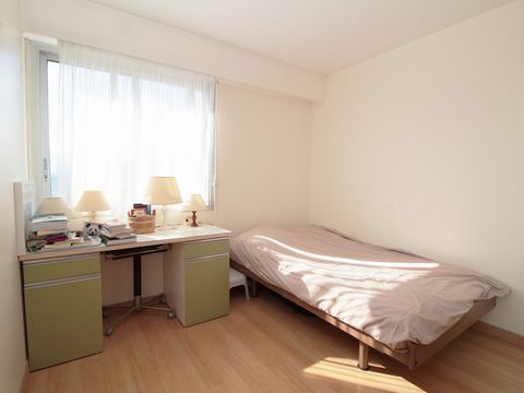 photo no. 12
