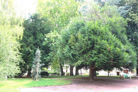 photo no. 8