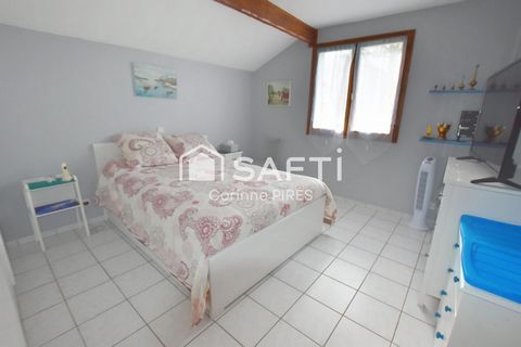 photo no. 9