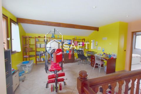 photo no. 10