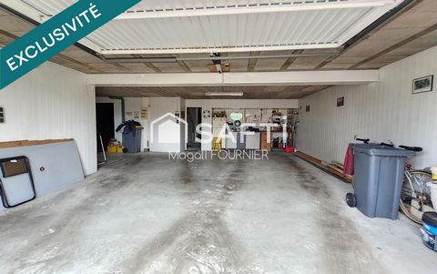 photo no. 8