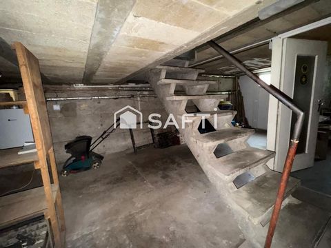 photo no. 11