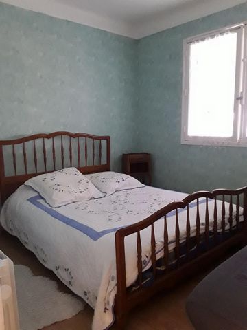 photo no. 11
