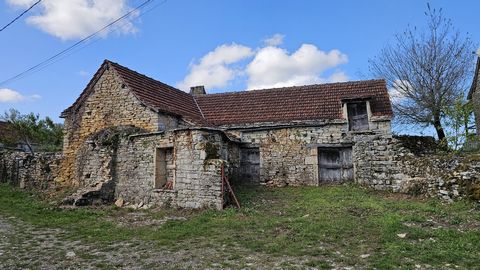 photo no. 17