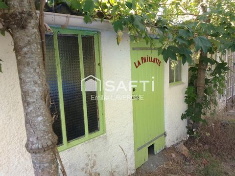 photo no. 9
