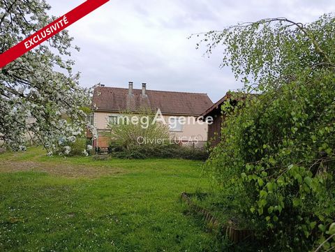 photo no. 6