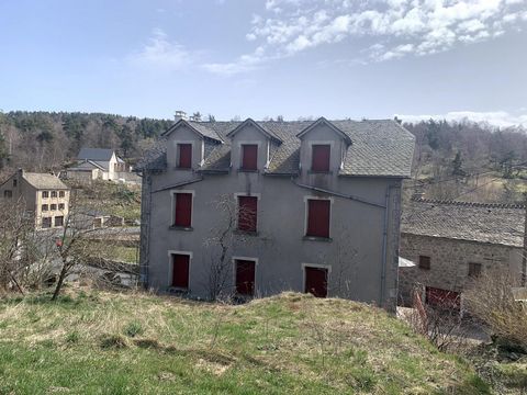 photo no. 1
