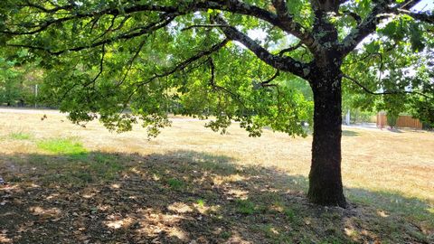 photo no. 14