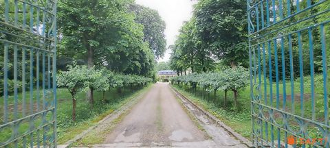 photo no. 19