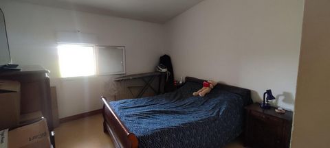 photo no. 6
