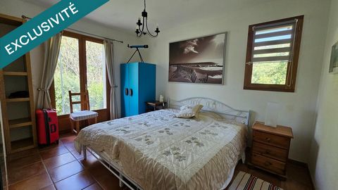 photo no. 13
