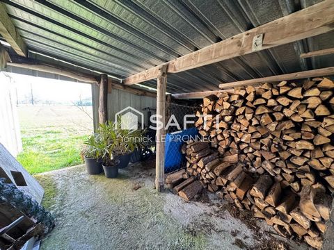 photo no. 11