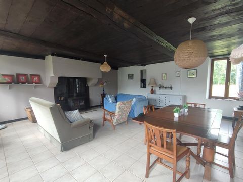 photo no. 8