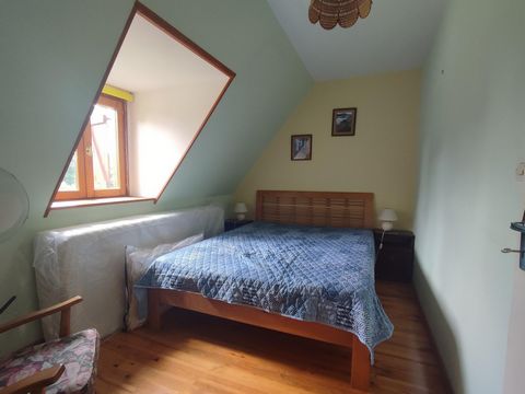 photo no. 11