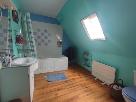 photo no. 12