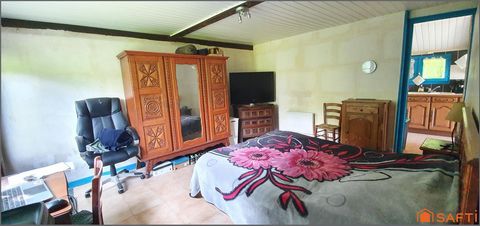 photo no. 12