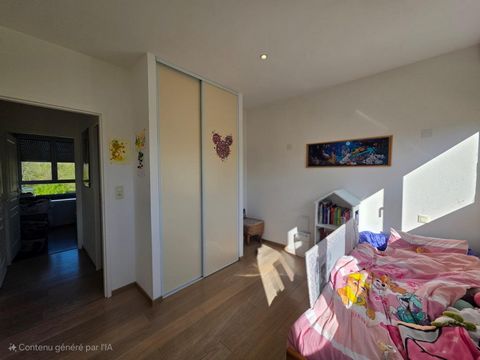 photo no. 6