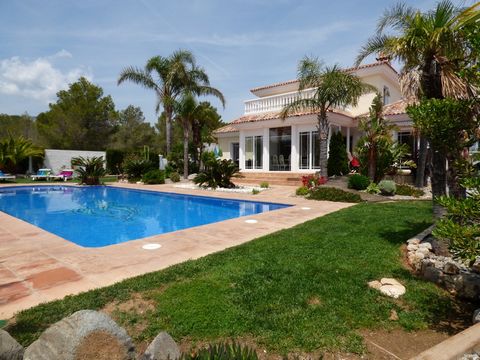 PALMERAS IMMO FOR SALE : Spectacular villa in impeccable condition Beautiful garden with pool of 12x6 meters. The house has 7 rooms (possibility of 9 - a type 