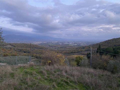 CIVITELLA IN VAL DI CHIANA (AR), surroundings: approved recovery plan on a plot of land used as an olive grove of 2,600 sqm on a gentle hillside. The project involves the construction of a 150 sqm farmhouse on two levels and a basement used as a gara...