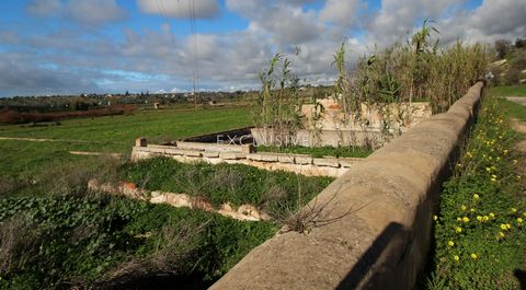 dieses Grundstück von 2 Hektar zwischen Pera und Salgados entfernt. es hat Zugang von der Hauptstraße und es hat zwei vorhandenen Ruinen, die für den Wiederaufbau der zwei Bestandsimmobilien auf einer Ebene zu ermöglichen. Das Grundstück verfügt über...