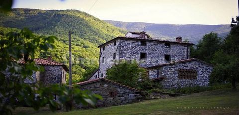 Property dated back to 1850, now an organic Agriturismo, consisting of a main farmhouse and two other recently renovated farmhouses and 4 outbuildings partially to be restored, immersed in the countryside 2 km from Lama, a hamlet of Caprese Michelang...