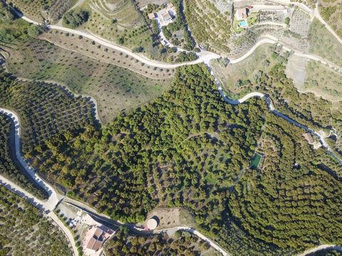Plot in Frigiliana Of almost 20,000 meters with approximately 800 avocados, with a water tank and its own well. This property is situated in the countryside of Frigiliana just 8 minutes drive from the town. Located on a hill, it has beautiful views o...