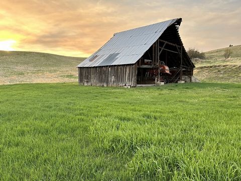 236-acre productive farm and ranch outside of Cottonwood Idaho with 160 acres of tillable farm ground, 76 acres of timbered pasture ground. The farm offers diverse mix of land suitable for various agricultural uses, including livestock grazing and fa...
