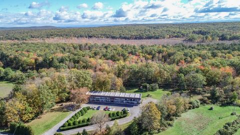 Unlock the potential of your investment portfolio with a Catskills gem that offers great returns and the possibility of expansion. Located in the heart of the majestic Catskill Mountains, this property is sure to interest savvy investors who are look...