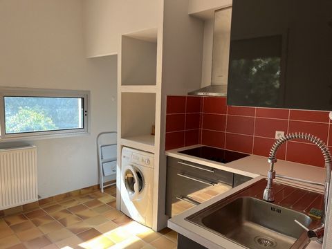 photo no. 15
