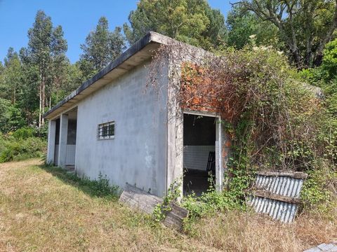 Farm near the town of Póvoa de Midões (Tábua) highlights several attractive features Here are some important points that may interest you: Feasibility of Construction: The presence of two storage houses, one with 119m² and the other with 7.20m², can ...