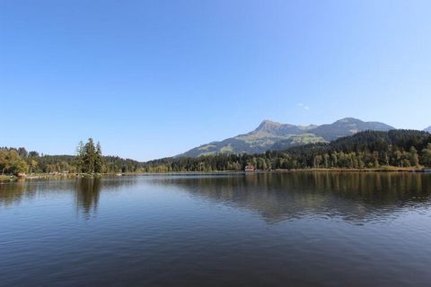 Questo spazioso appartamento per un massimo di 6 persone si trova in una casa vacanze ai margini del paese di Hopfgarten im Brixental, nelle immediate vicinanze dello skilift del comprensorio sciistico Skiwelt Wilder Kaiser - Brixental. L'appartament...